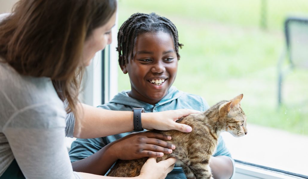 Help at the local animal shelter.