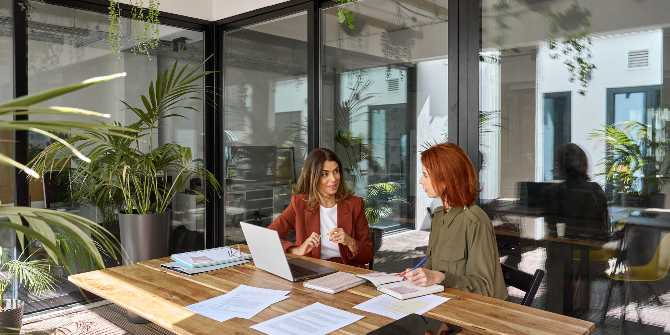 Two busy business women young and middle aged talking working in green office.