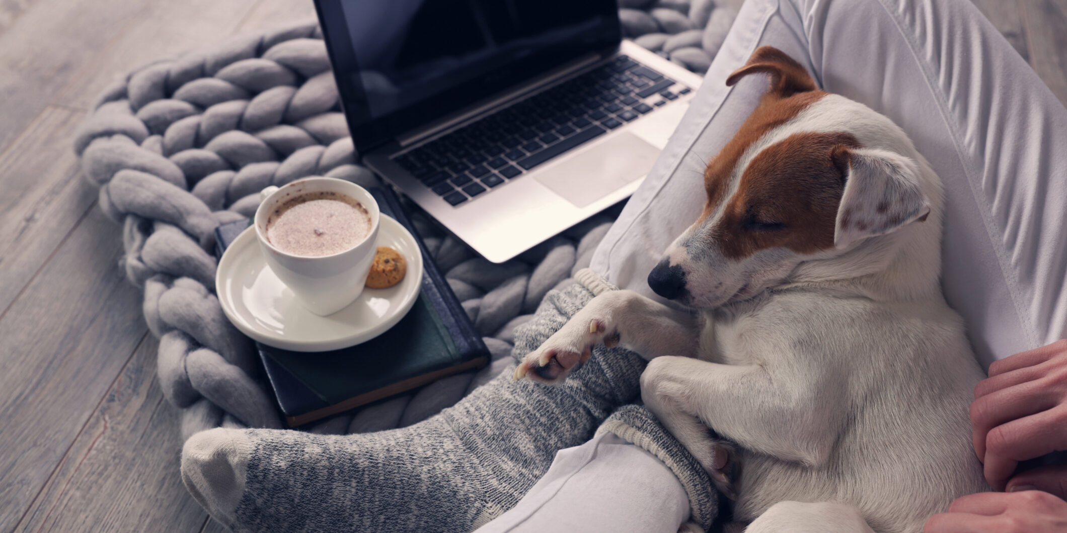 Woman in cozy home wear relaxing at home ,drinking cacao, using laptop. Soft, comfy lifestyle.